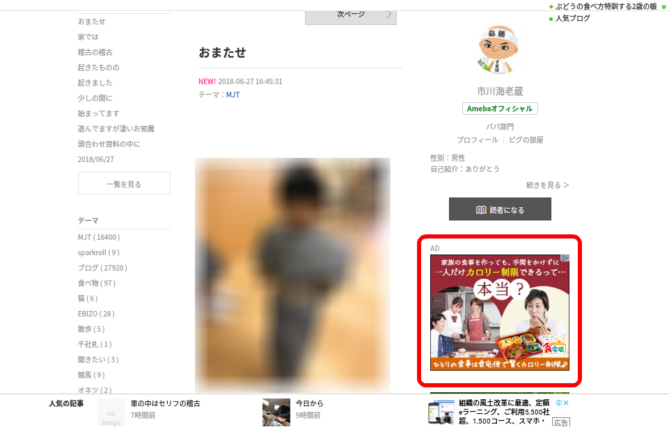 アドセンスとはブログ・サイト2